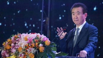 王健林，商业巨擘的财富之路——还剩多少家底？